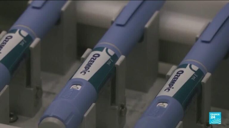 Novo Nordisk's weight loss drug Wegovy available in France from Tuesday