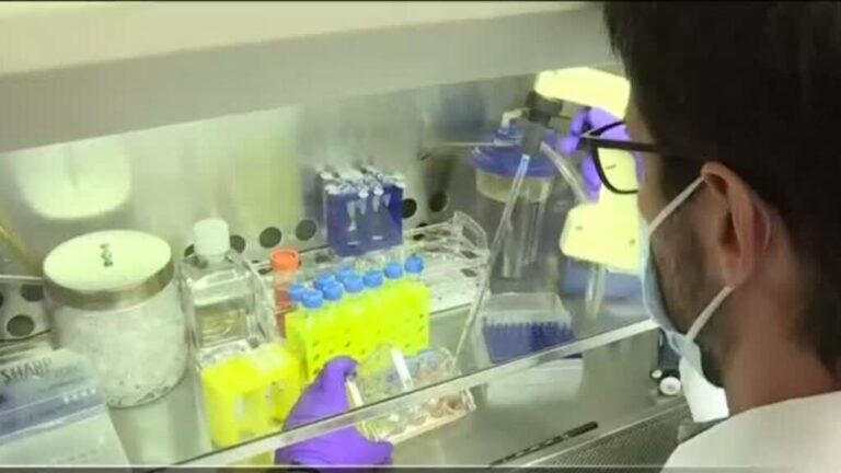 Easing the burden of sickle cell disease in Africa: more campaigners push for improved care