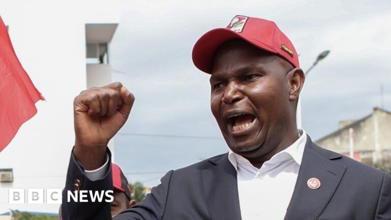Frelimo’s Daniel Chapo wins disputed presidential poll