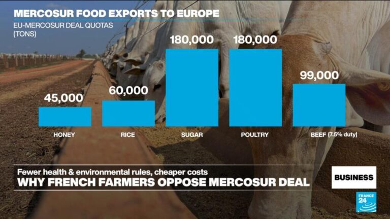 Why French farmers oppose the EU-Mercosur free trade deal
