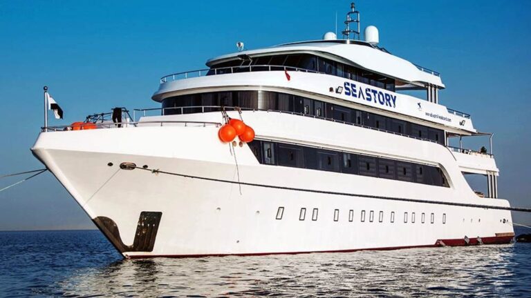 More than a dozen people missing after tourist boat sinks off coast of Egypt | World News