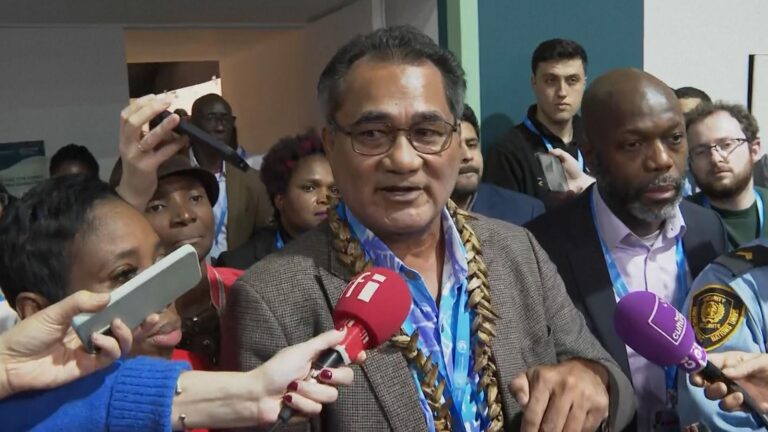 Climate-vulnerable islands storm out of COP29 negotiation room in row over funding | Science, Climate & Tech News