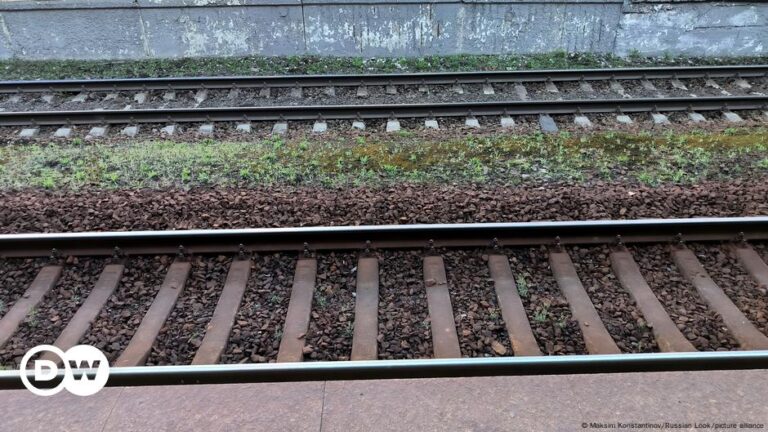 German accused of planning rail sabotage for Kyiv – DW – 12/10/2024