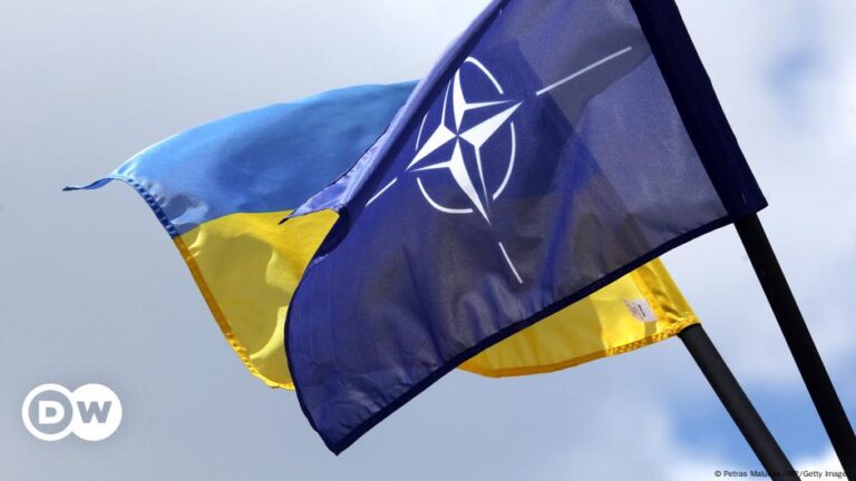 Ukraine pushes for NATO membership, but it’s complicated – DW – 12/03/2024