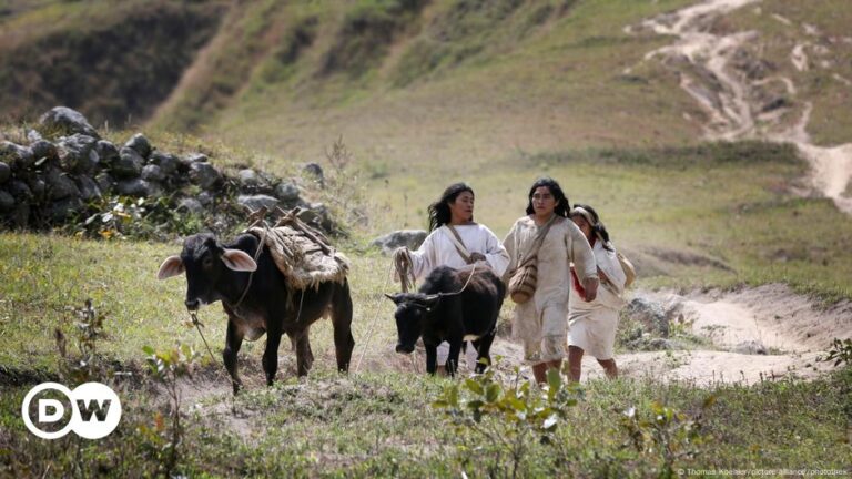 Germany returns ritual items to Colombia’s Kogi – DW – 12/09/2024