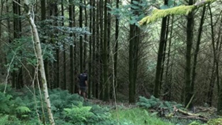 Glamorgan Man: Handwriting and money among clues to identity of man found dead in woods 45 years ago | UK News