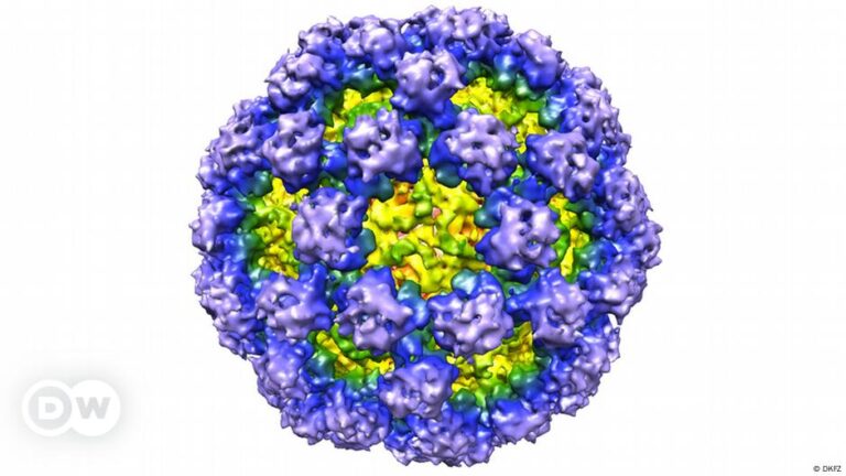 Highly contagious, really disgusting – DW – 01/02/2025