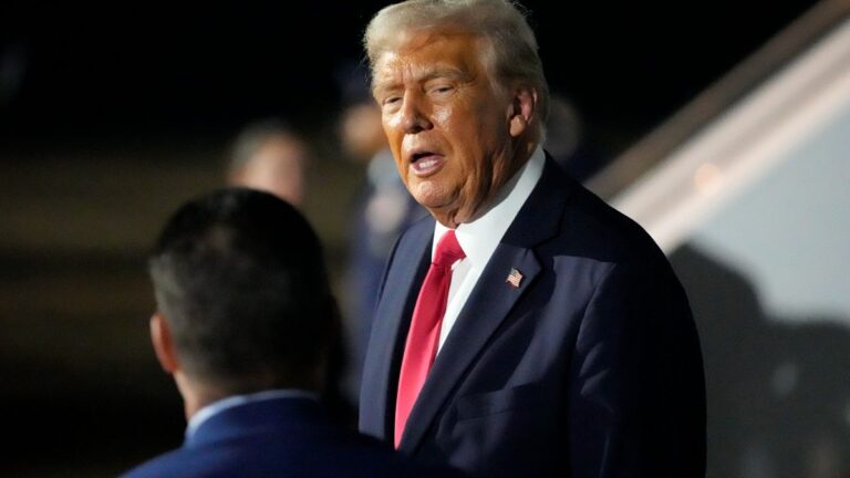 Trump set to announce steel and aluminium tariffs with more import duties due