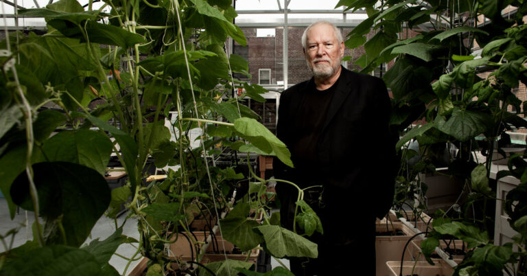 Dickson Despommier Dies at 84; Championed Farming in Skyscrapers