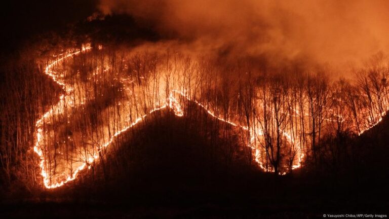 Raging wildfires kill at least 18 – DW – 03/26/2025