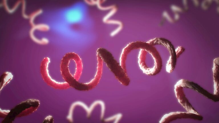 ‘Concerning’ rise of Victorian STI that can trigger heart disease, brain damage and death – are you at risk?