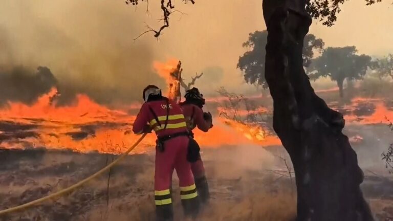 Millions of people threatened by wildfires near their homes, research finds | Science, Climate & Tech News