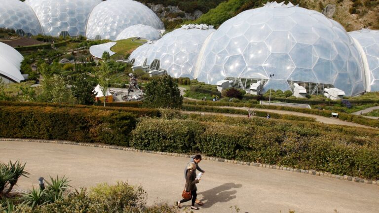 Eden Project losses double as visitor numbers fall and jobs go | UK News