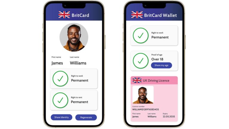 The pros and cons of digital IDs – and do we need them? | Science, Climate & Tech News