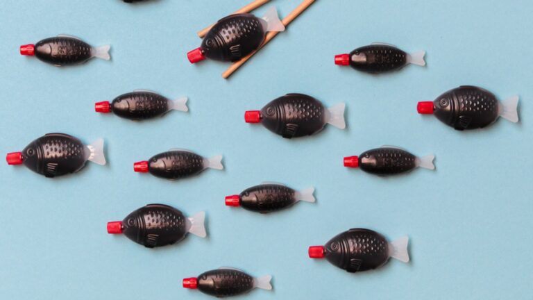 South Australia to become first place in the world to ban soy sauce fish-shaped containers | Science, Climate & Tech News