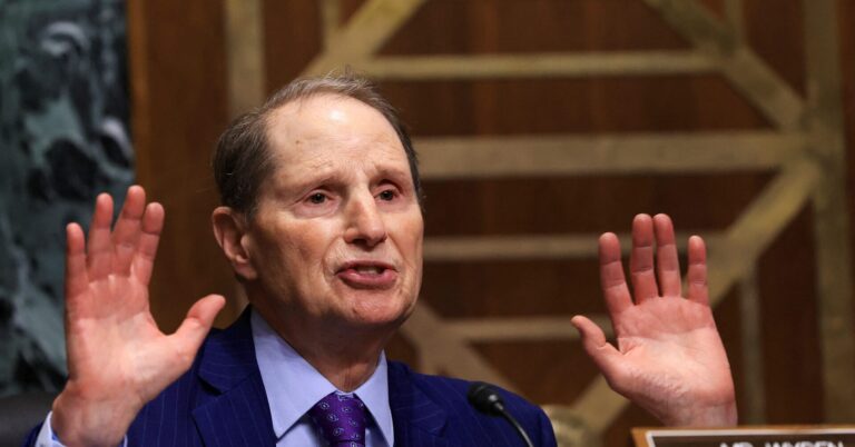 Key Democrat blasts 'abrupt' end of popular US tariff exemption for package shipments