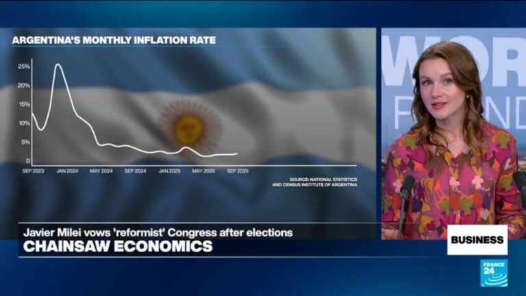 Argentina midterm elections seen as confidence vote for Milei's economic refoms