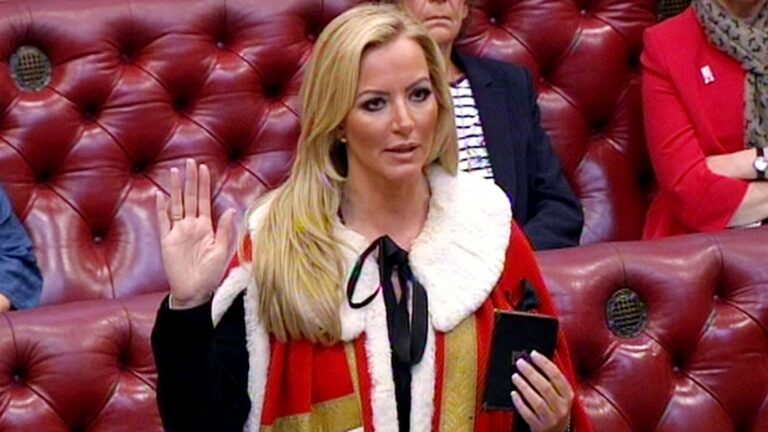 Firm linked to Tory peer Michelle Mone breached £122m PPE contract, High Court rules | Money News