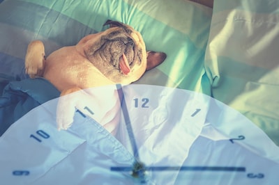 Wintertijd gaat zondag 26 oktober 2025 in: zetten we de klok een uur vooruit of achteruit?