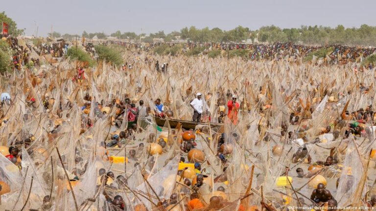 Nigeria’s Argungu Fishing Festival back after 6 years