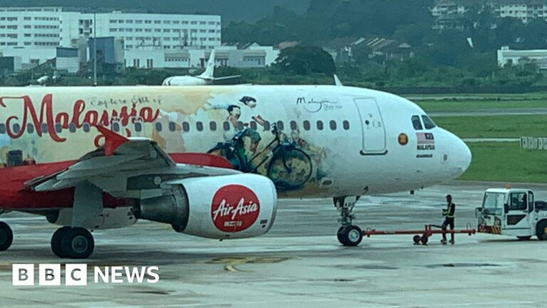 AirAsia accused by artist for allegedly using his work without consent