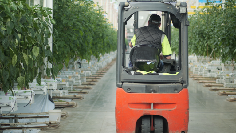 Warning food prices are set to spike in the UK due to Iran war | Money News