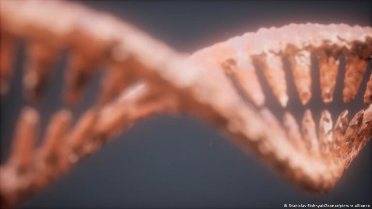 DNA had one rule. Bacteria didn’t get the memo