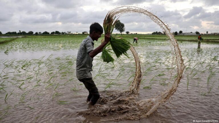 How two wars and El Nino could fuel world hunger