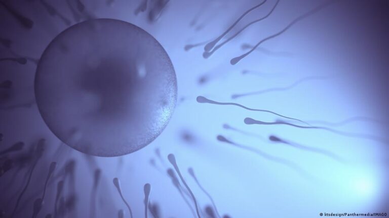 Male infertility: ‘Grossly underreported’ and misunderstood