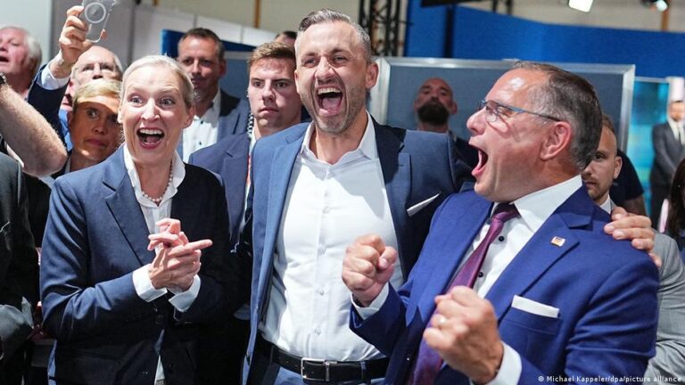 Why Germany’s political extremists like the AfD succeed