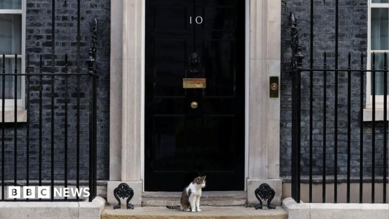 Which? says fake 10 Downing Street listing exposes ‘unfit’ Booking.com checks