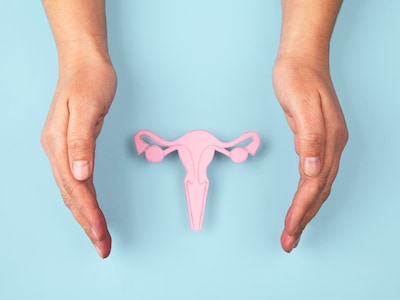 Gynaecoloog ontrafelt ‘black box’ van baarmoeder: zo helpt de beweging van het orgaan artsen bij ivf