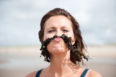 Niet alleen een goede vleesvervanger: zeewier is veelzijdiger dan je denkt