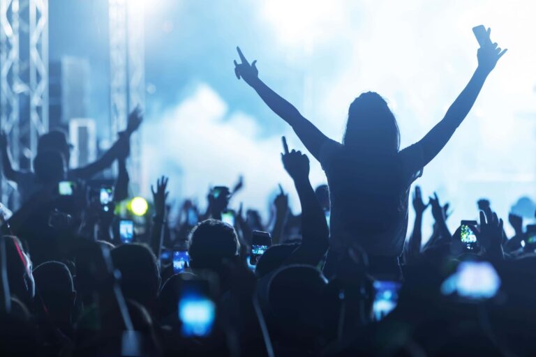 Arctic Numpties to Daft Funk: Fans priced out of concerts turn to tribute acts