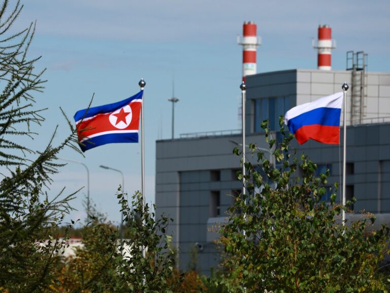 North Koreans being recruited into forced labour in Russia, report says | Business and Economy News